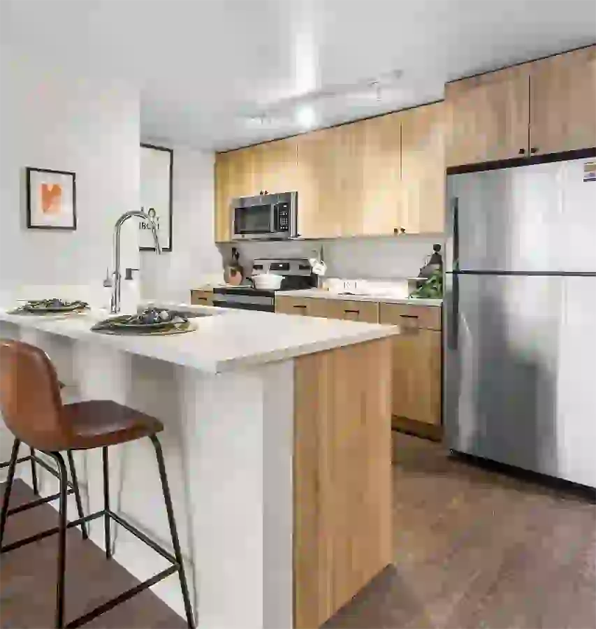 High-end kitchens featuring stainless steel appliances